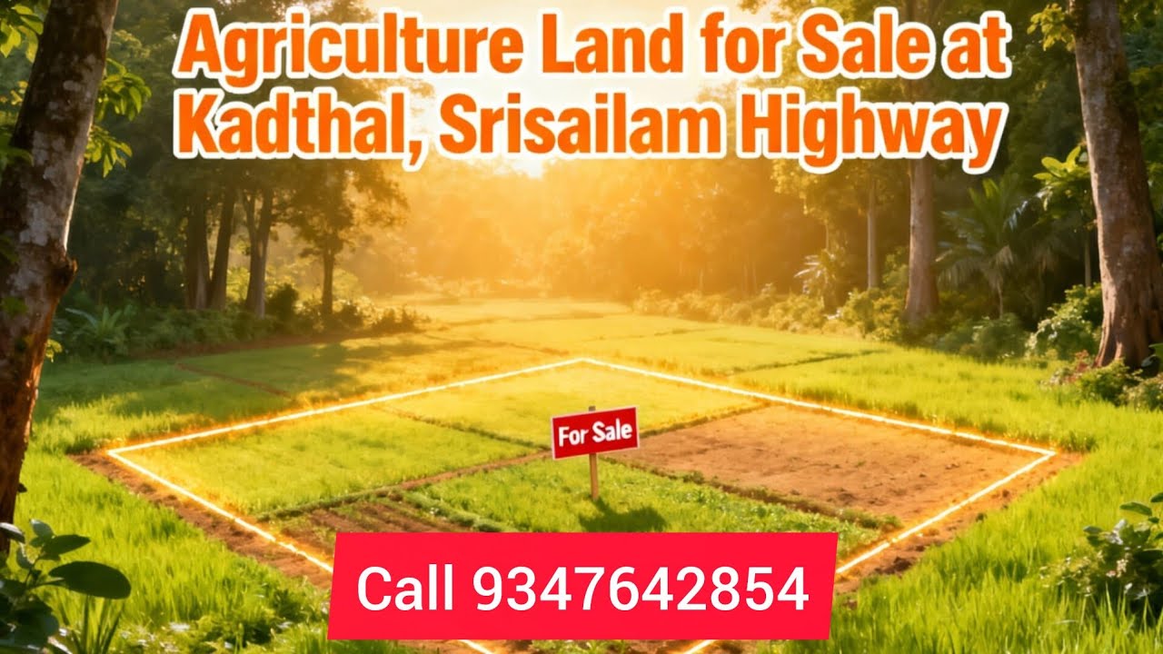 Kadthal 12 Acre Agriculture Land for sale in Srisailam highway 9347642854