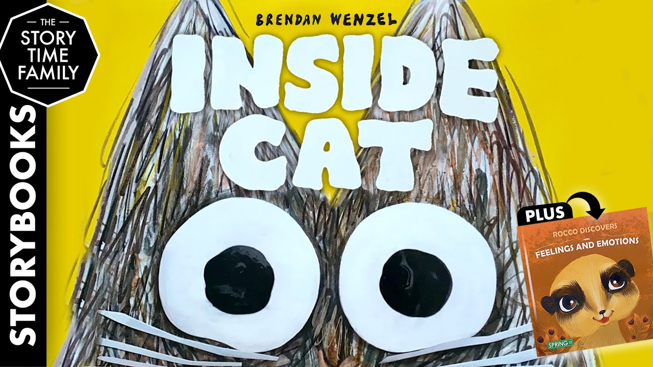 Inside Cat | A book about curiosity, observation and imagination