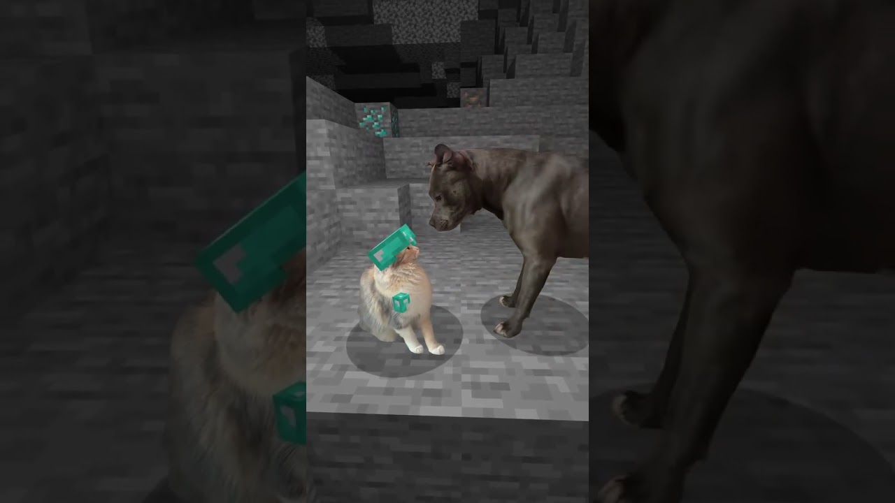 He messed with the wrong cat 😺💥 