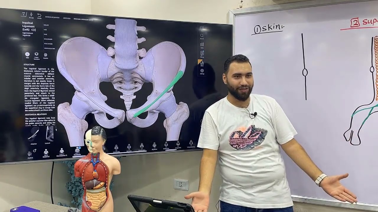 Anatomy GIT Lecture-1 Dr.MAHMOUD ALAA القصر العينى