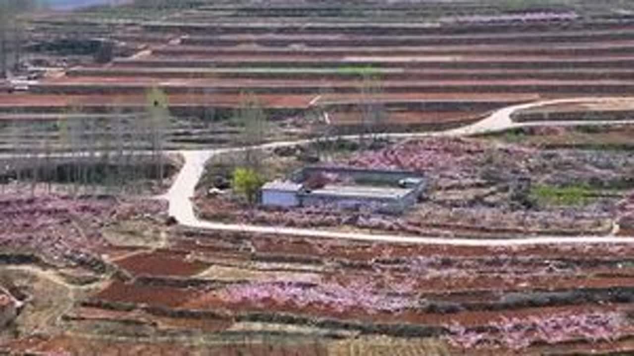 今天的视频带你打卡东西崖（孝妇泉）到黄家洼大崮台，由于路线过长本路线会分上下两部分，本期视频孝妇泉至金山花海#我为家乡代言 #旅行推荐官 #遇见临沂美丽乡村 #内容启发搜索 #万物皆可种草搜