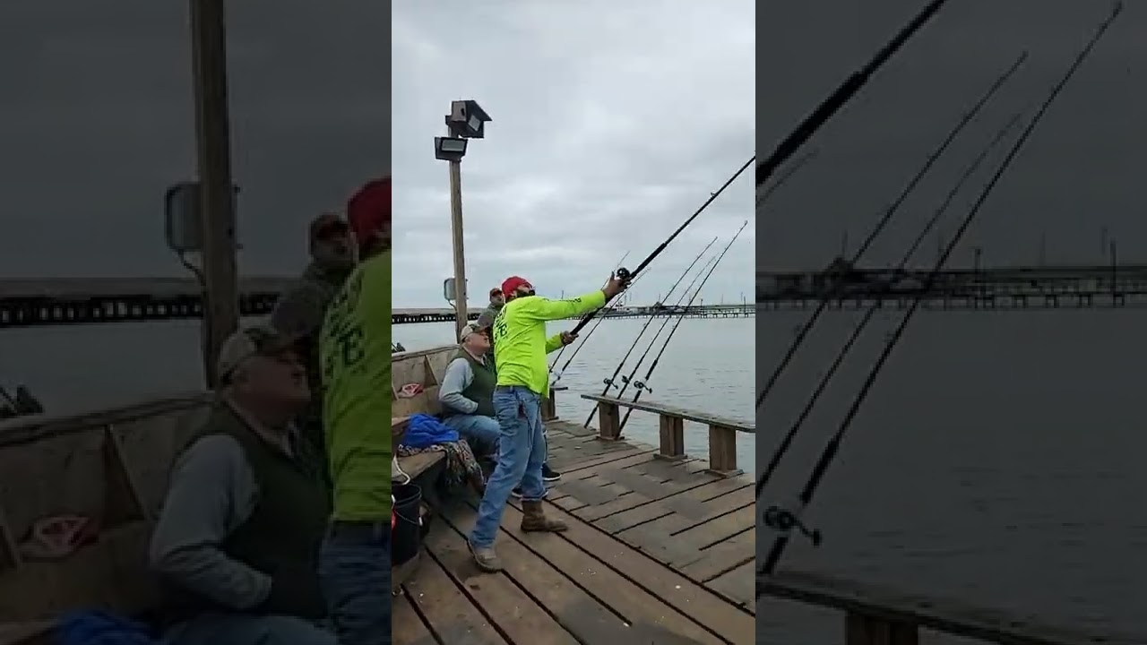 Pro Fishermen Mr. Alberto Zertuche Casting LX RAPTOR 11oz Weight Plus Bait