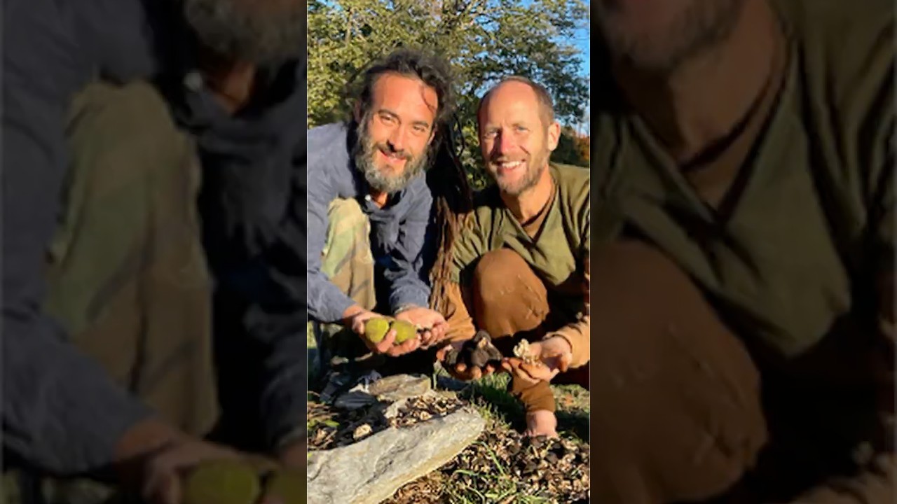 Black Walnut, Fantastic Wild Food