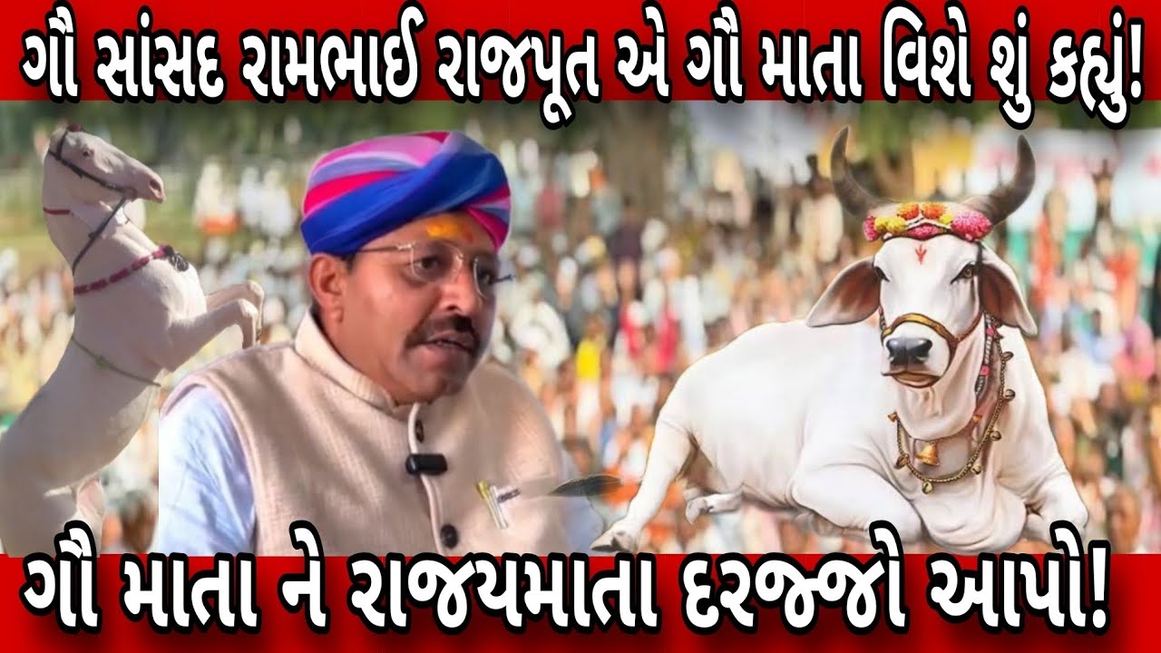 ગૌ સાંસદ રામભાઈ રાજપૂત એ ગૌ માતા વિશે શું કહ્યું! ગૌ માતા ને રાજયમાતા દરજ્જો આપો!