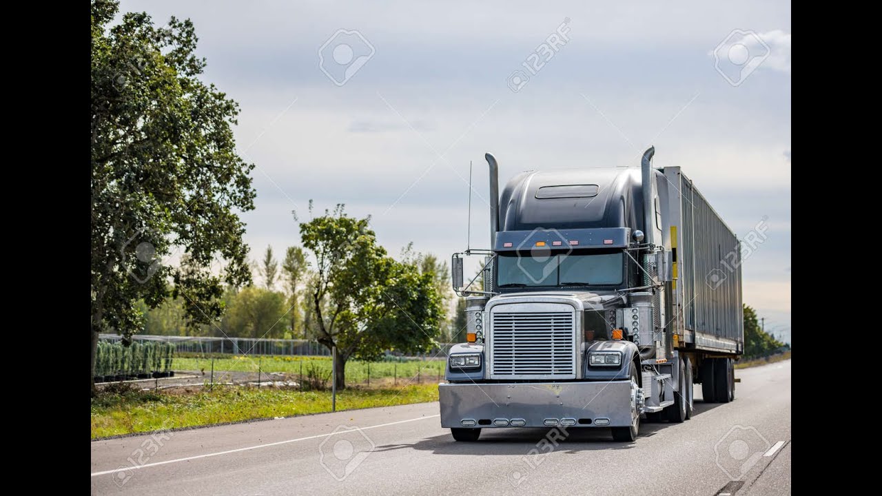 Взял в рейс пушистого друга.American truck simulator