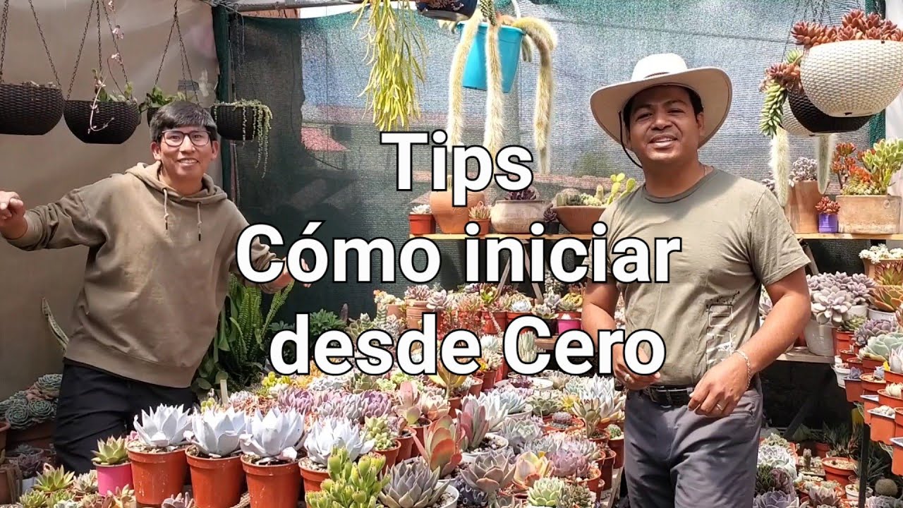 Cómo tener un jardín con SUCULENTAS comenzando desde CERO | Parte 1 UBICACIÓN | Tips 😉 Isaaculentas