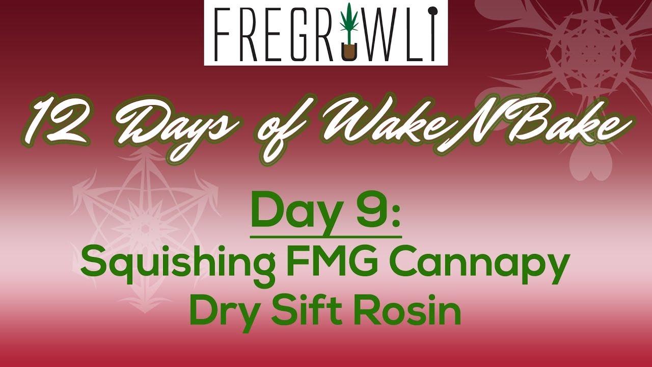 9th Day of WakeNBake: Squishing FMG Cannapy Dry Sift Rosin