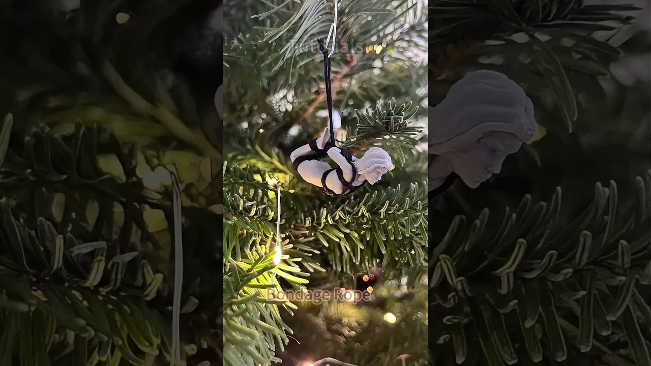 Your Christmas Tree Teaches BDSM 😈🎄 