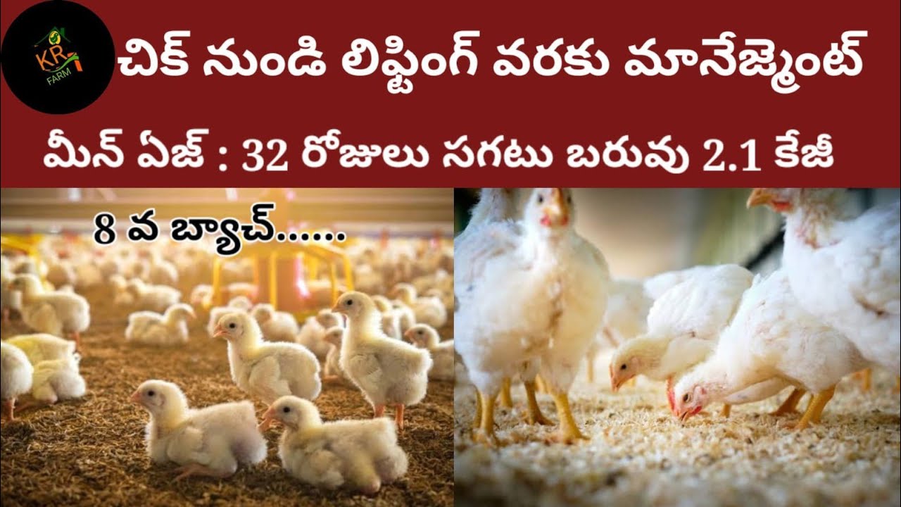 8Th Batch మానేజ్మెంట్ చిక్స్ ఫస్ట్ డే నుండి లిఫ్టింగ్ వరకు