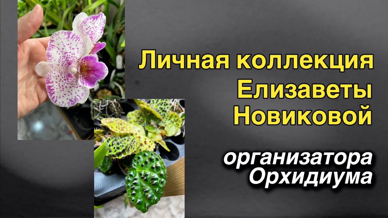 Самые редкие растения - в частной коллекции! 🌸🔥