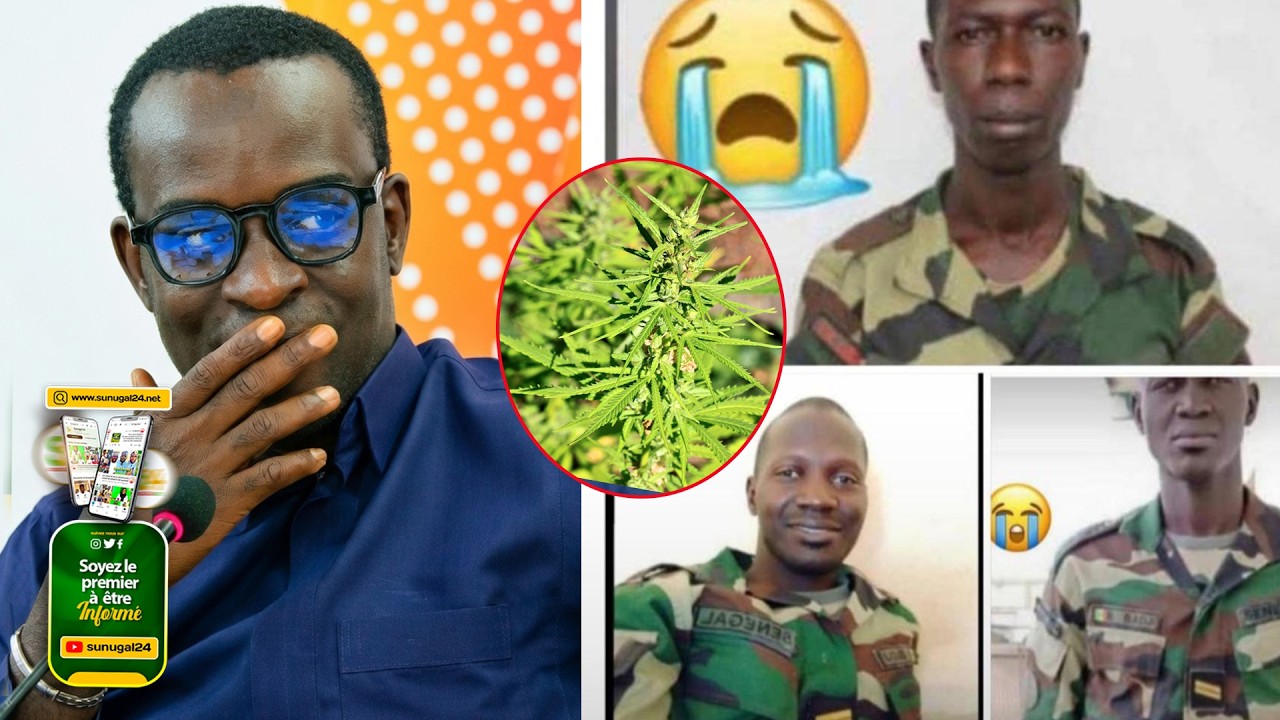 🔥 EXCLUSIF : Sanglante opération en Casamance ! Trois Jambar victimes d'une explosion