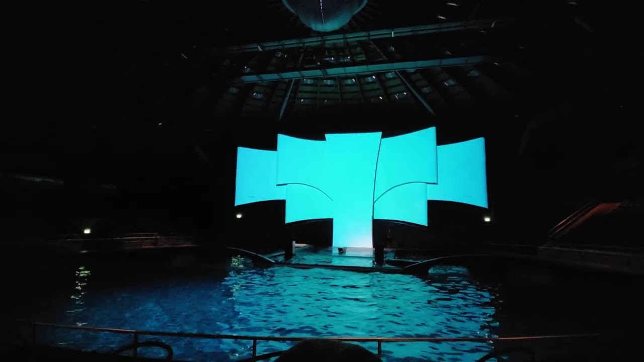Dolfinarium: Oceanica
