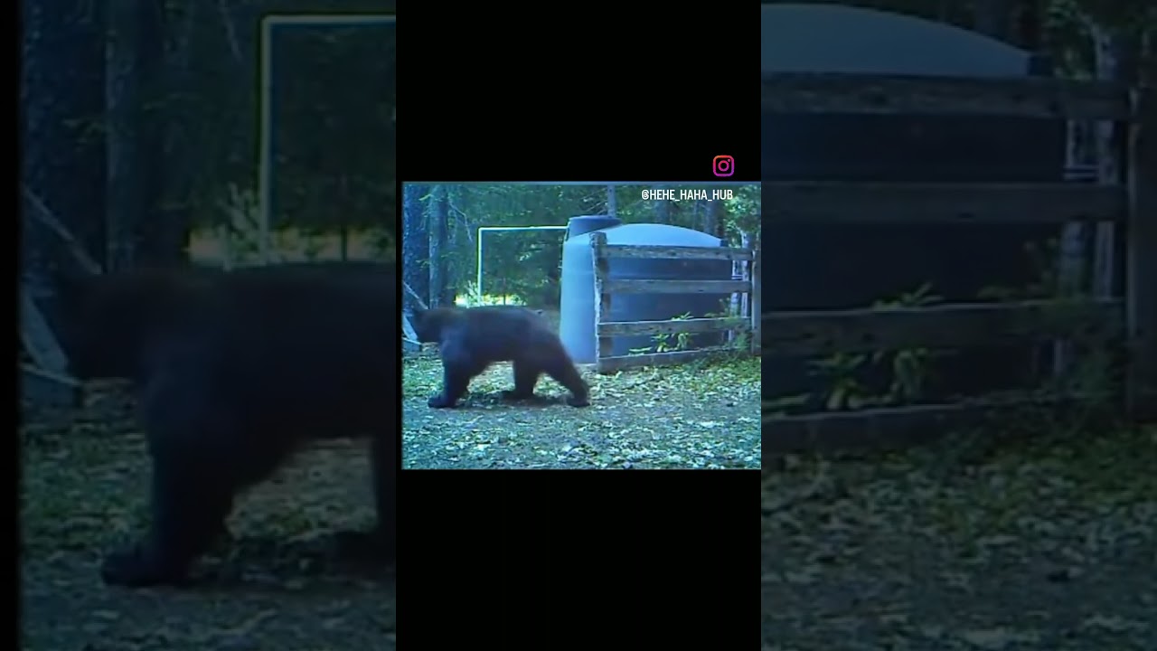 Big fail ||#trending #funny #bigfails