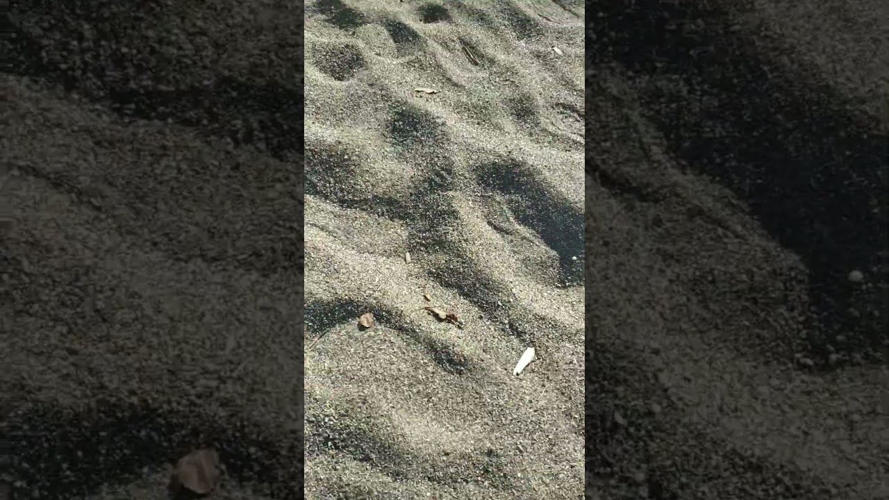 Walk along the shore with sand and small pebbles 