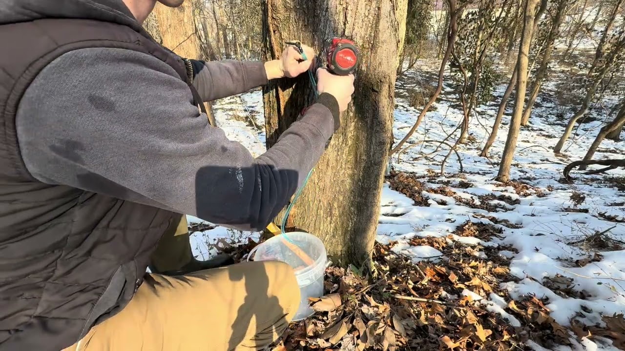 Epoacht Maple Syrup Tapping Kit Starter Set  | Honest Review