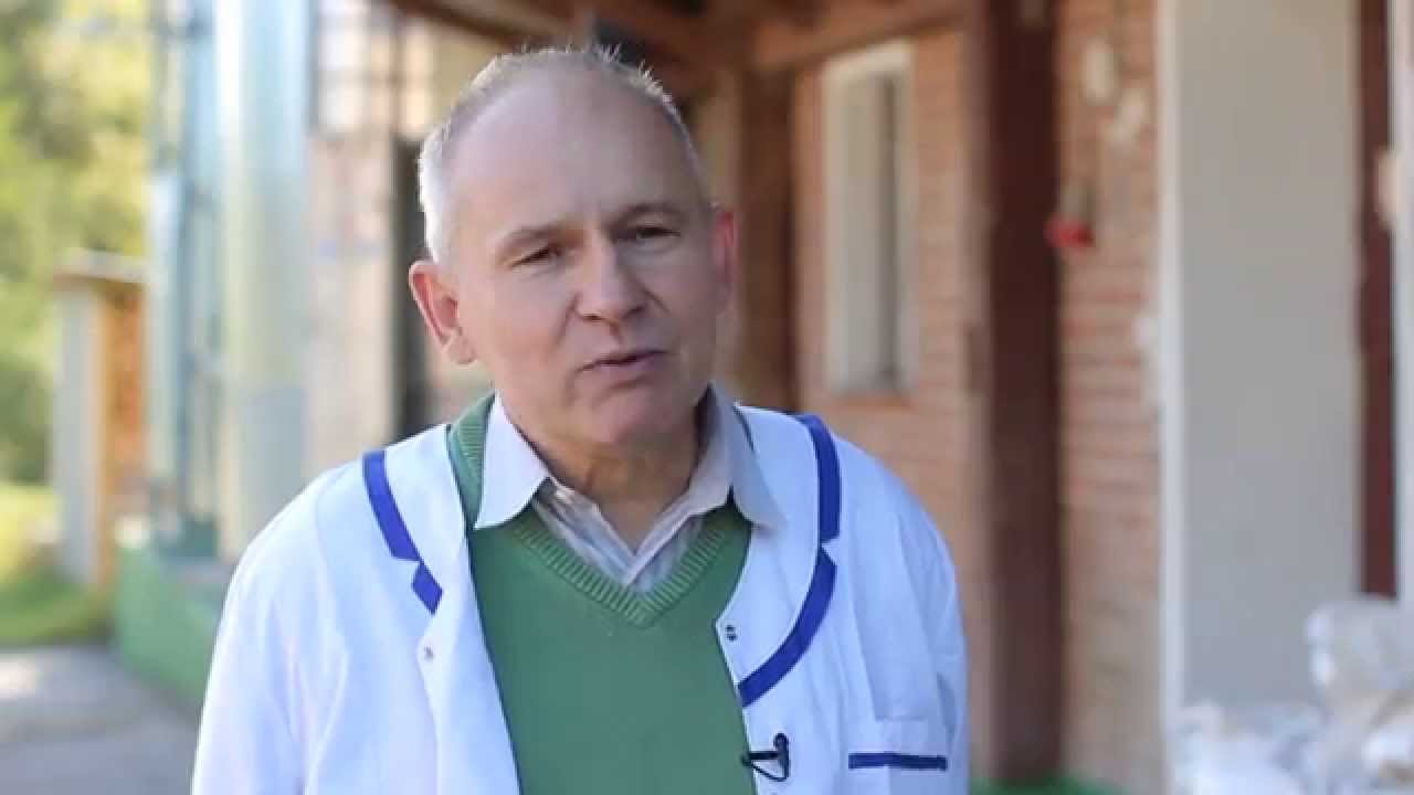 Jak powstaje mąka?