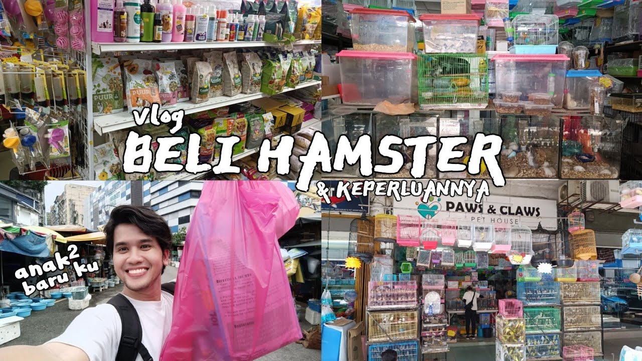 VLOG BELI HAMSTER BARU DI PAWS & CLAWS PASAR PUDU || BANYAK GILER HAIWAN² COMEL 🐹🐰🐦