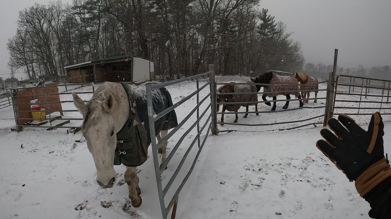 WE HAVE A SNOW STORM