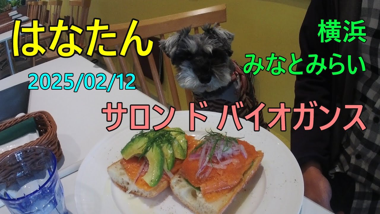 横浜 みなとみらい 「サロン ド バイオガンス カフェ」
