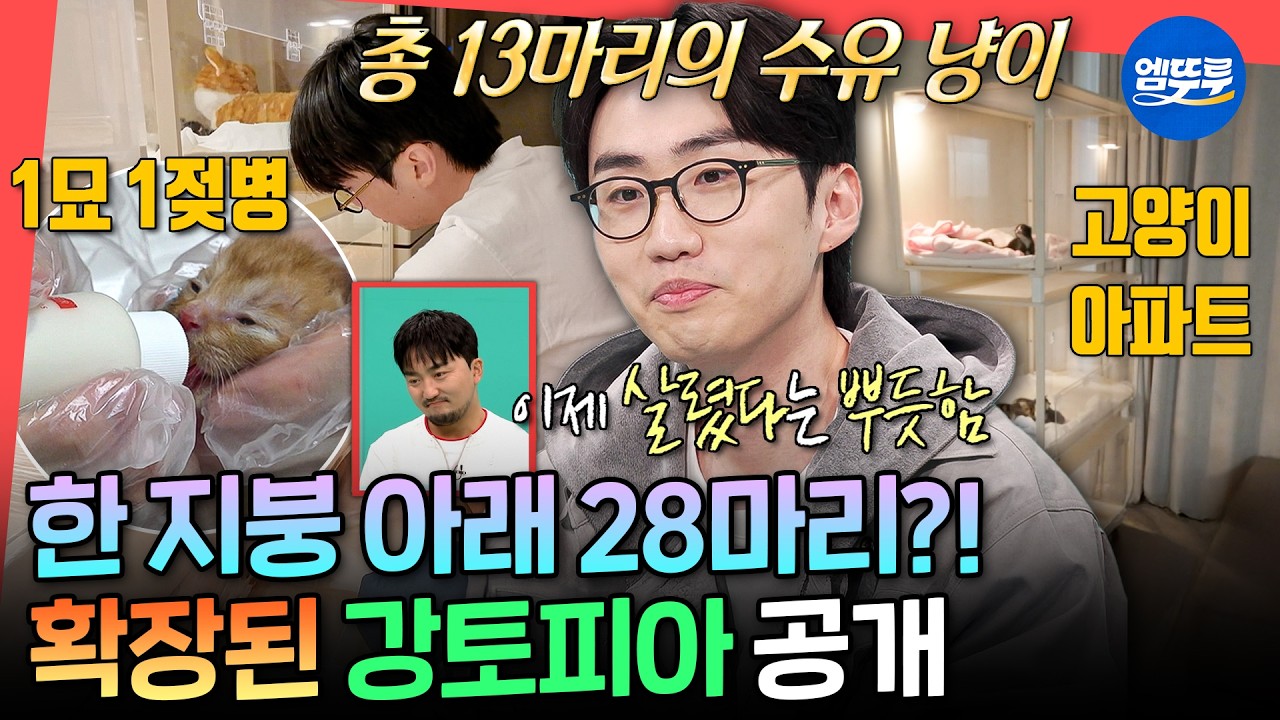 [전참시] 강태네 새로 생긴 고양이 단지?! 총 28마리를 키우고 있는 K-동물 아빠 이강태 아침 일상ㅣ#이강태 MBC260404방송