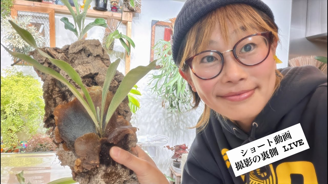 ショート動画撮影の裏側（普段メンシプではこんなことしてます😘」