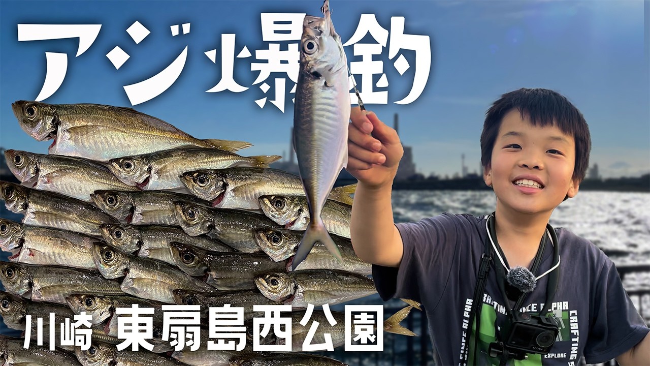 東扇島西公園でアジ爆釣