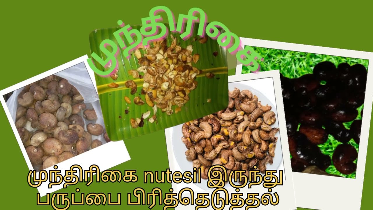 வீட்டில் இலகுவான முறையில் முந்திரிகை பருப்பு வறுத்தல் 
