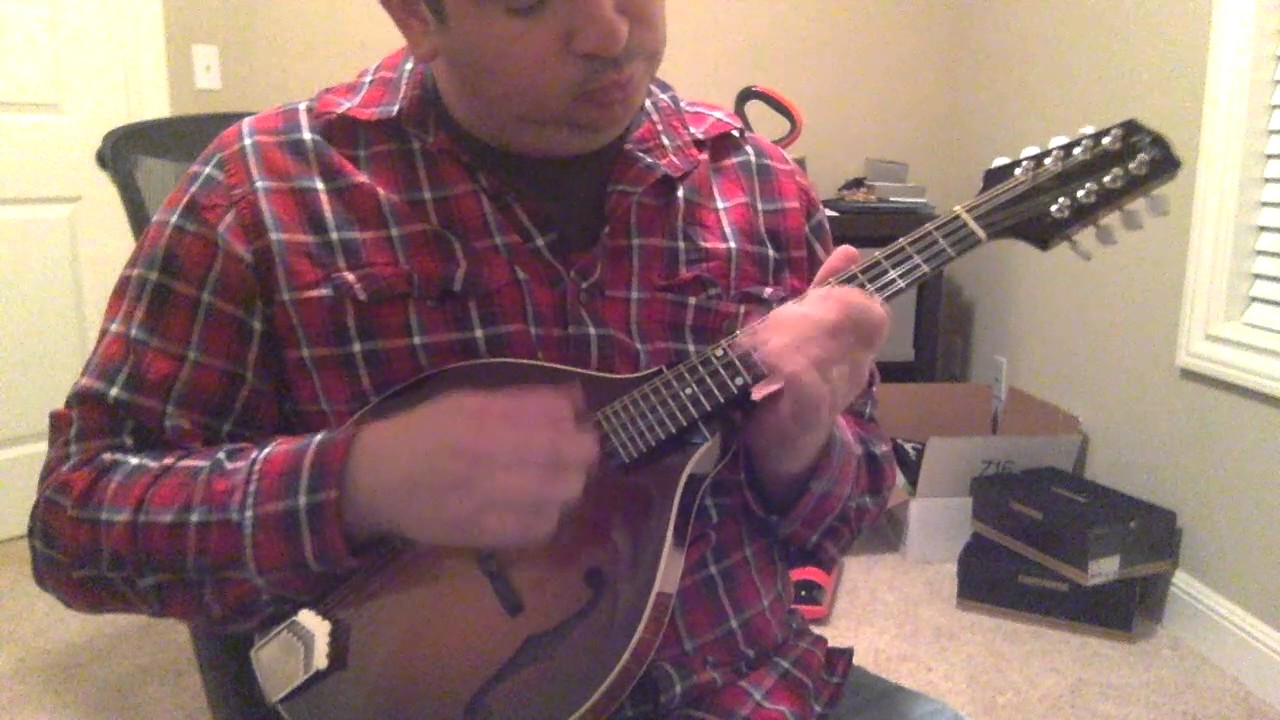 2016 Pava Player A5 Demo