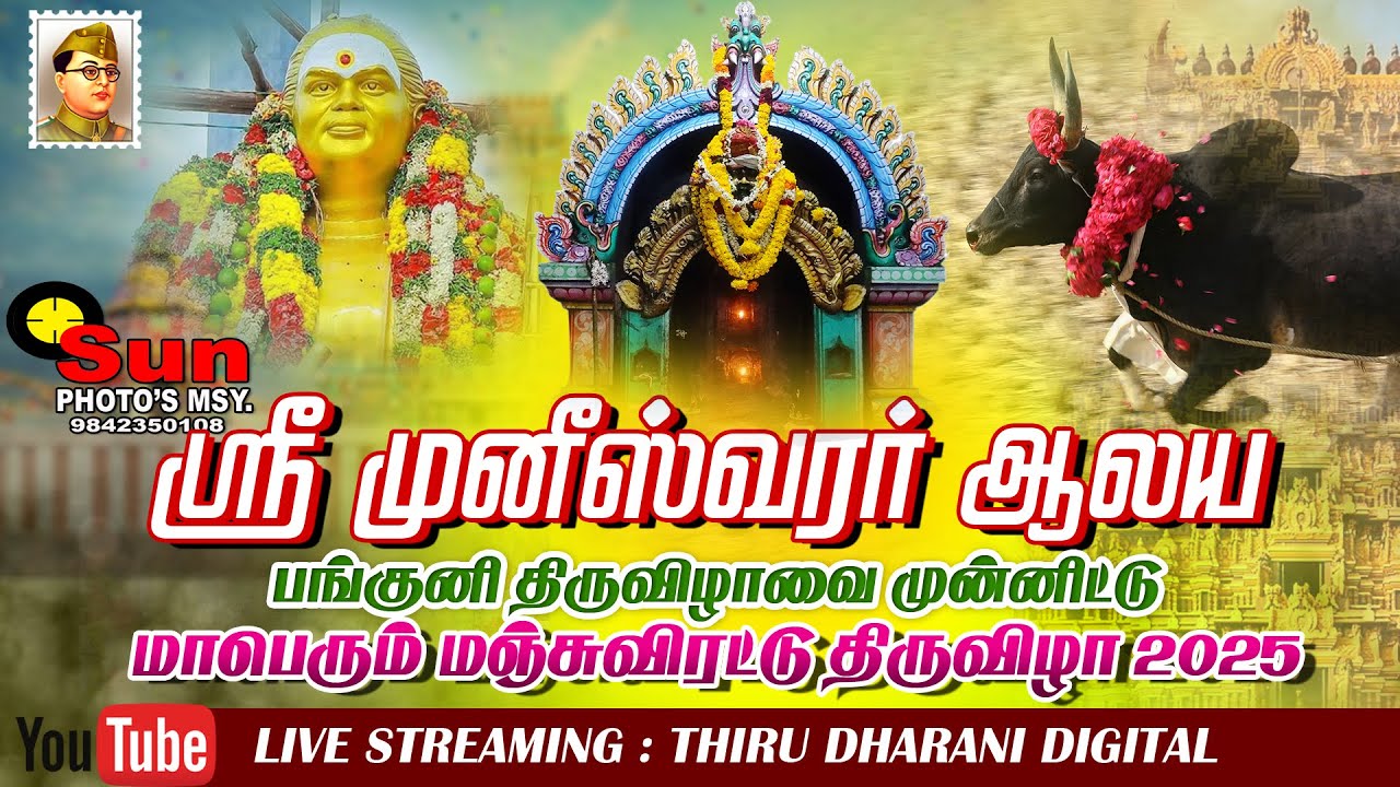 suthukulam manjuvirattu 2025 / ஸ்ரீ முனீஸ்வரர் ஆலய மஞ்சுவிரட்டு திருவிழா 2025