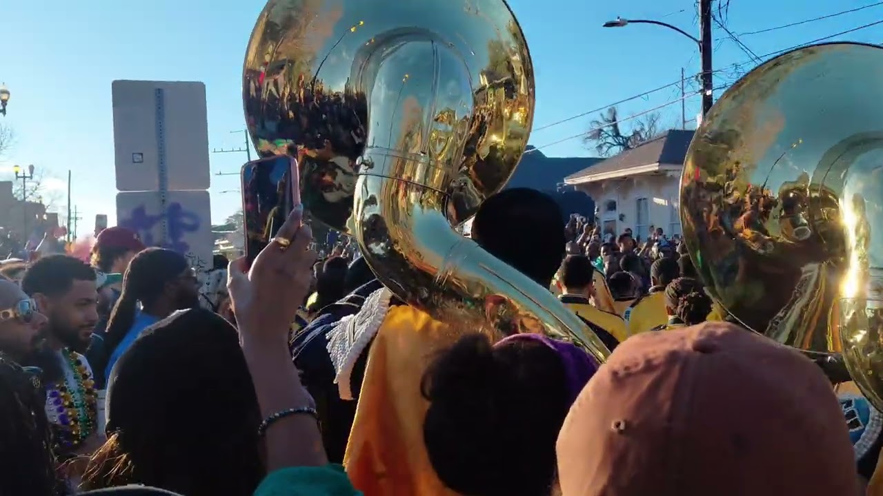  Southern bass horns section is  ridiculous , Bacchus 2026 , road to party gras 