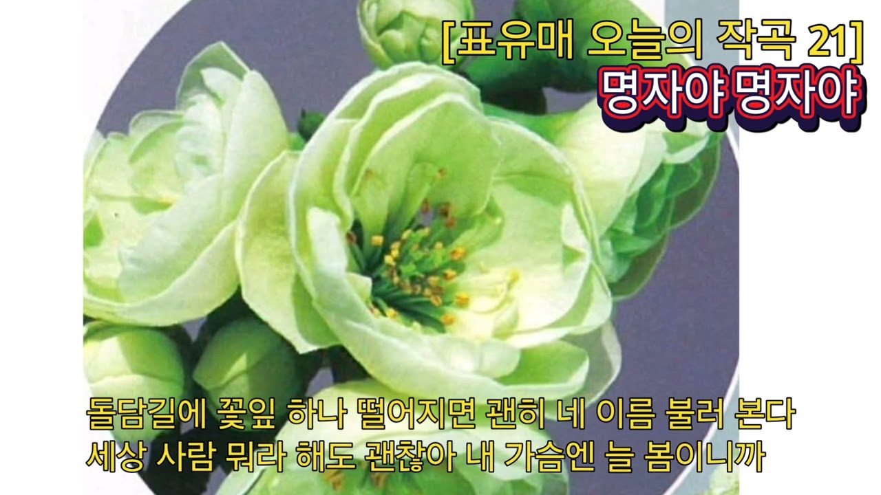 [표유매 오늘의 작곡 21] 명자야 명자야