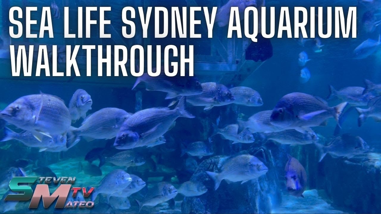 Sea Life Sydney Aquarium Walkthrough | Steven Mateo TV