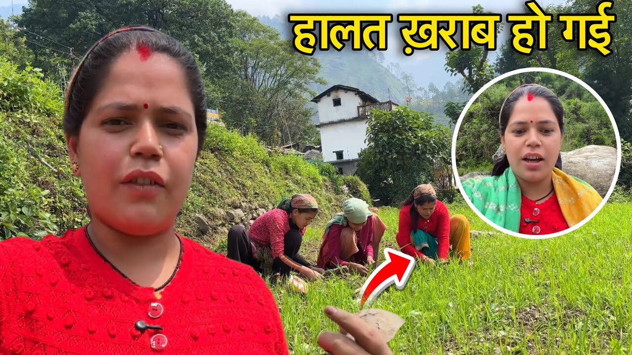 पहाड़ों में भी बहुत गर्मी होने लग गई || Pahadi Lifestyle Vlogs || Mayank Bhumi Vlogs