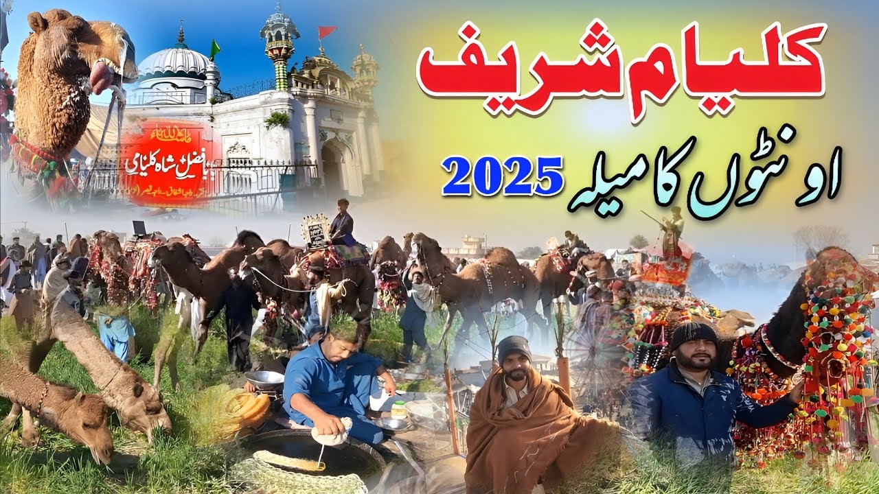 Kalyam Sharif Mela 2025 | World Biggest Camel Mela In Pakistan | Old Historical place