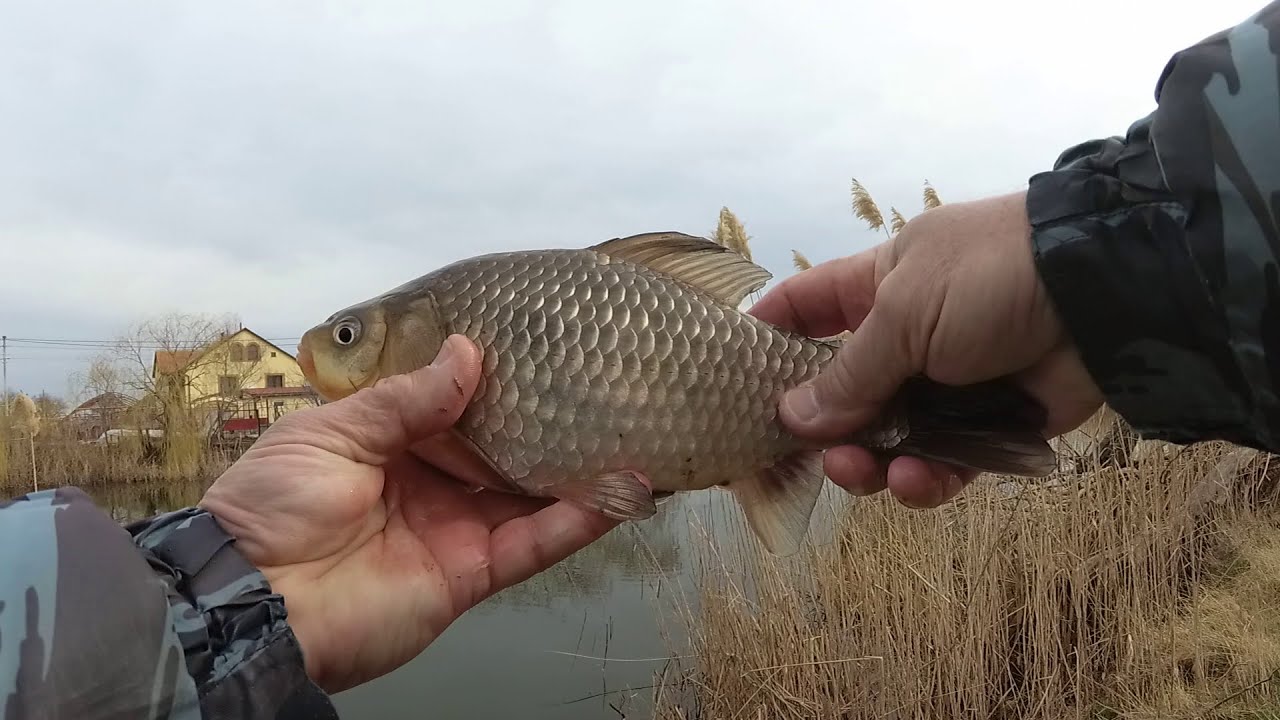 Карась на спиннинг ( отводной поводок ).