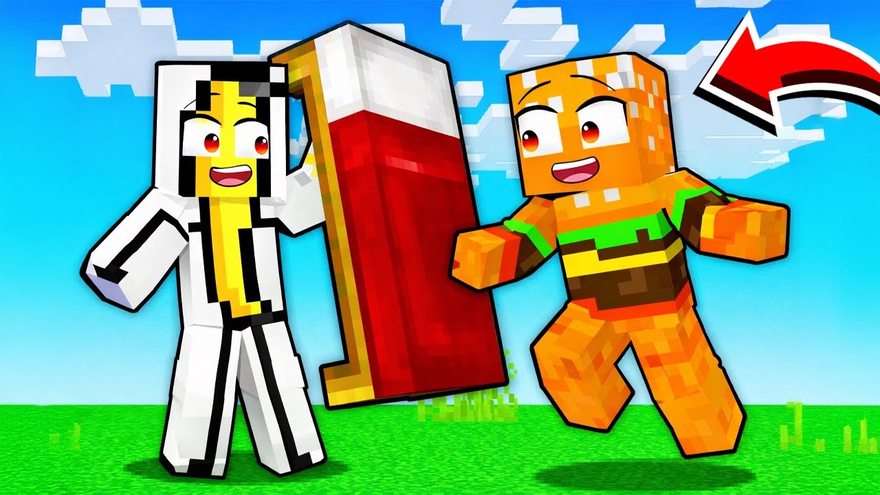 Cine este mai PRO pe *MINECRAFT*