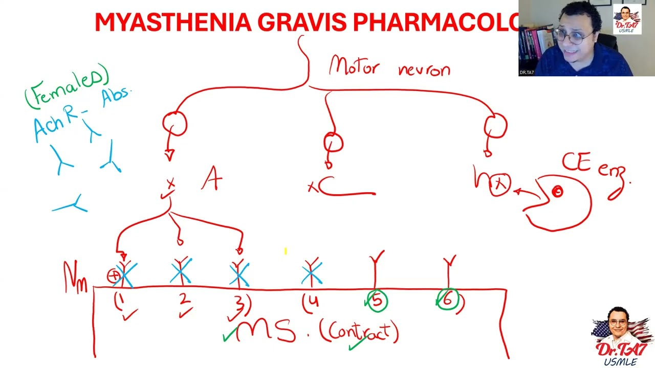 DR TA7: ANS PHARMACOLOGY 3