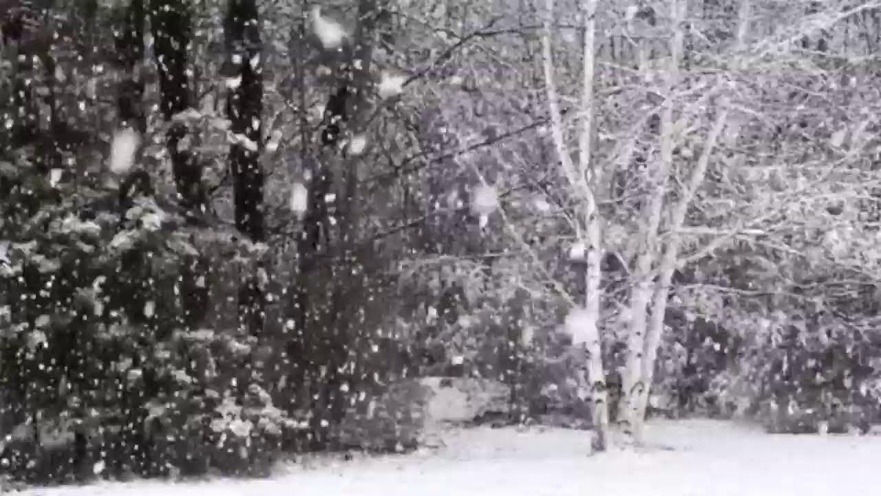 Библия
