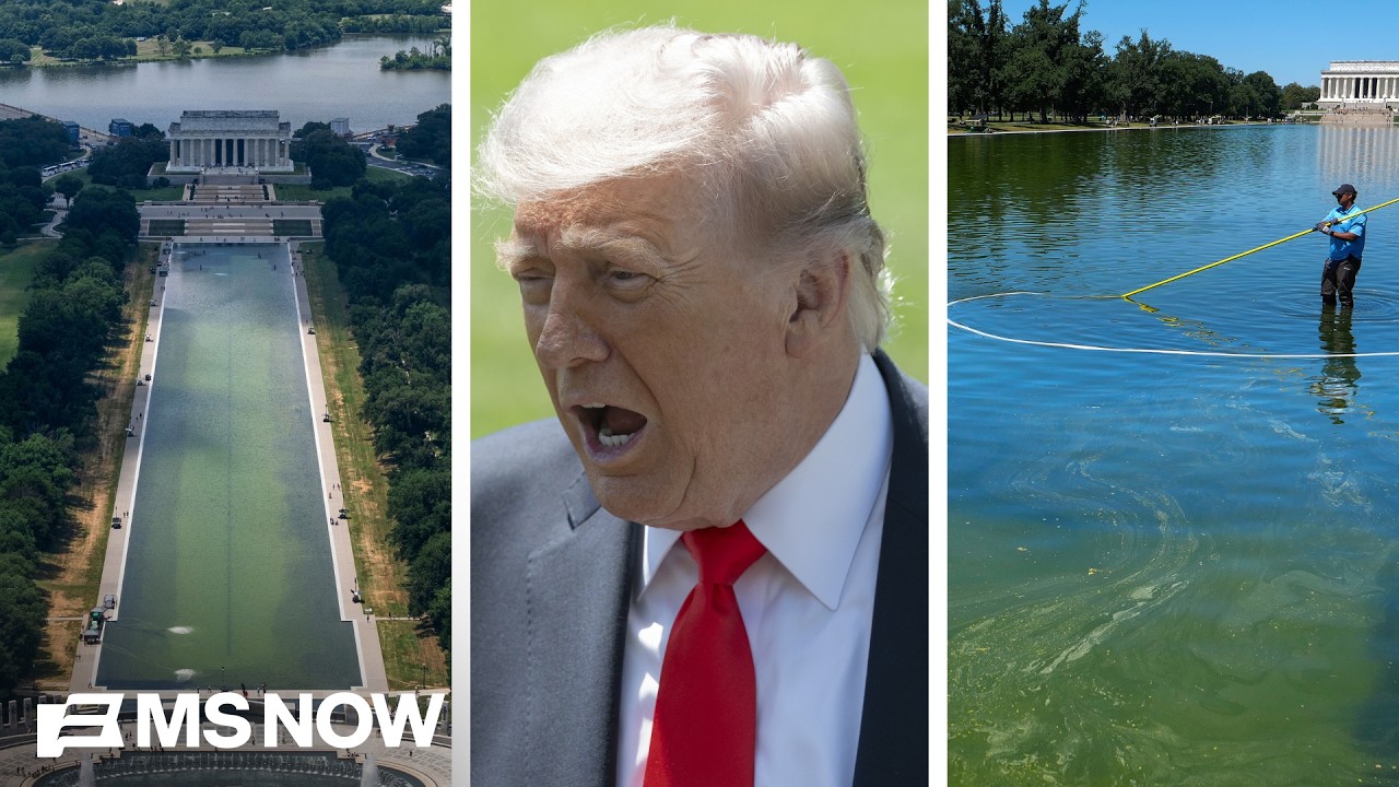 &lsquo;VOID OF REALITY LIE&rsquo;: Trump keeps pushing reflecting pool &lsquo;vandals&rsquo; conspiracy