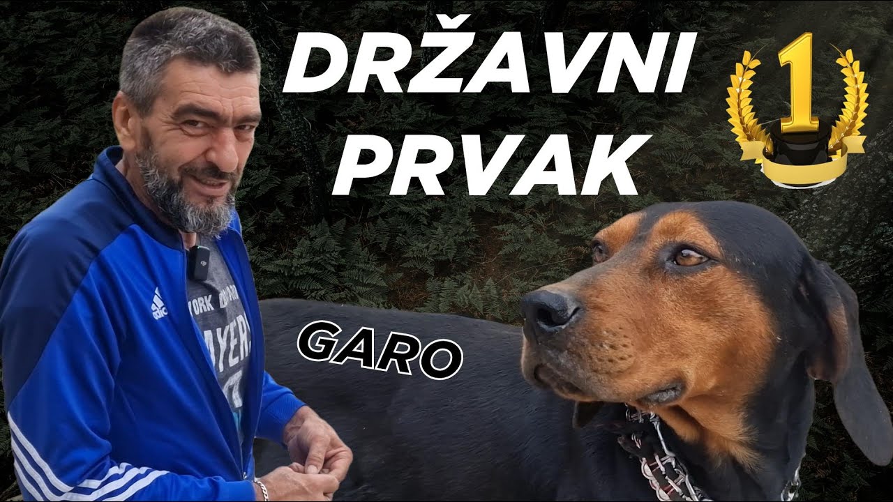 Državni prvak u lovu na divlje svinje - GARO
