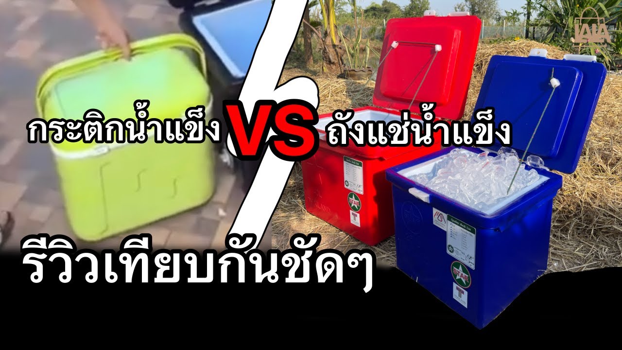 ถังแช่น้ำแข็ง VS กระติกน้ำแข็ง แบบไหนดี? | lalashopth