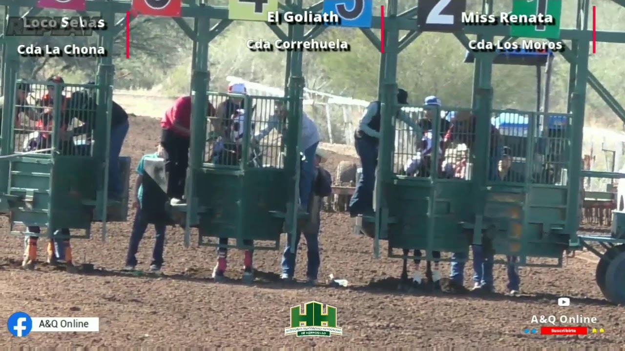 La Miss Renata vs Loco Sebas vs Goliath 26/01/26 en HH