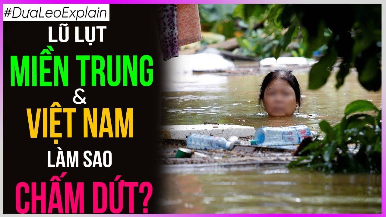 Lũ lụt miền Trung & Việt Nam: L&agrave;m sao CHẤM DỨT? [Dưa Leo DBTT]
