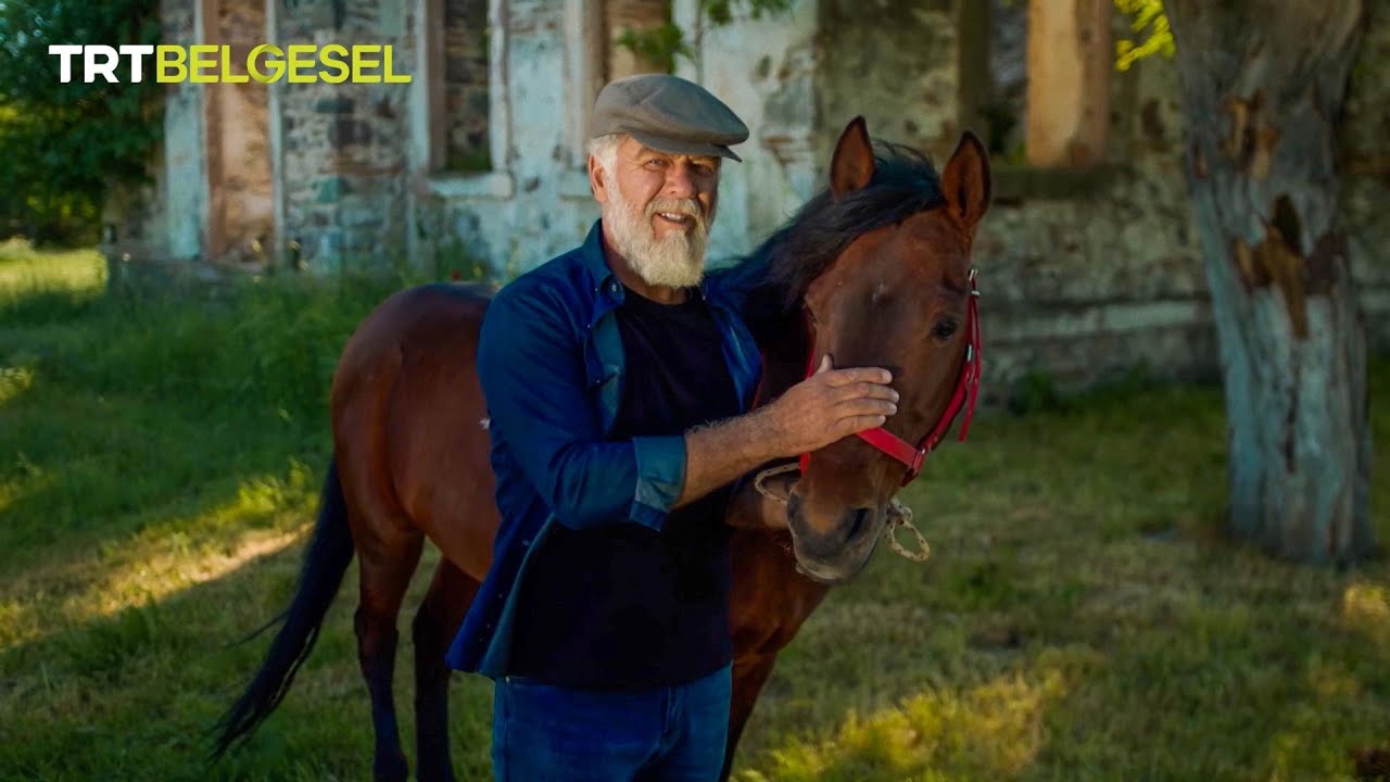 Türklerin savaş atları 🏇