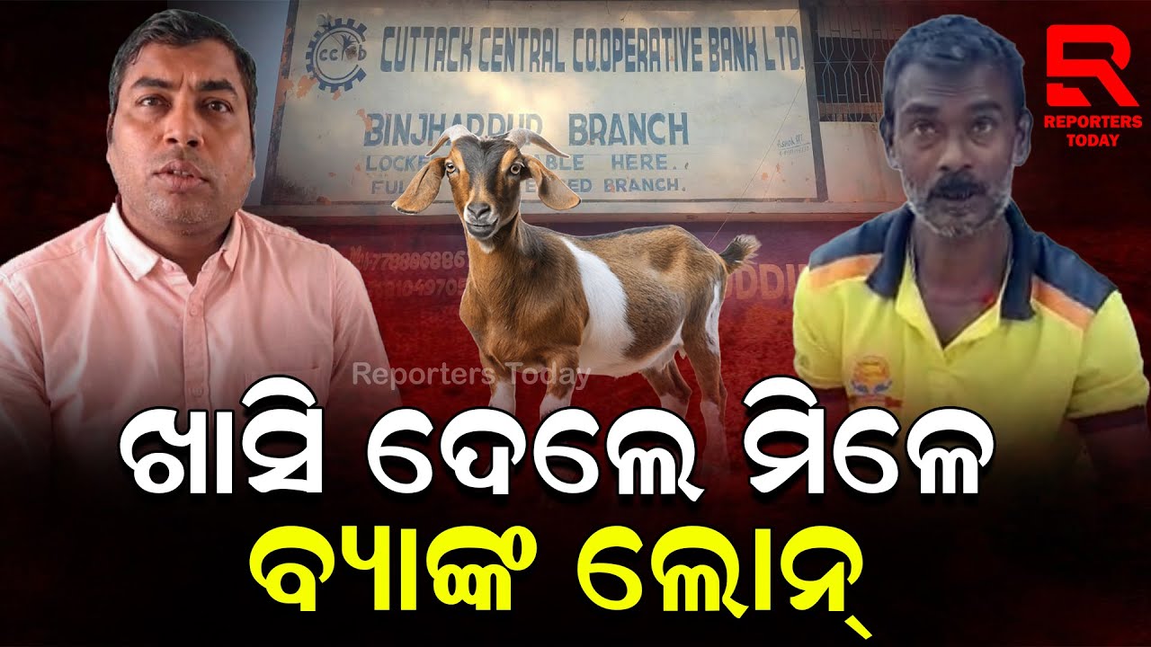 ବିନା ଟଙ୍କା ଆଉ ଖାସିରେ ଲୋନ କରାଉନଥିଲେ ବ୍ୟାଙ୍କ ମ୍ୟାନେଜର || Cuttack Central Co-Operative Bank, Binjharpur