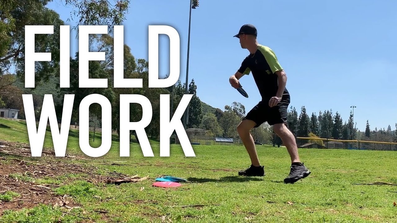 Seppo Paju Vlog: FIELD WORKING | S2E19