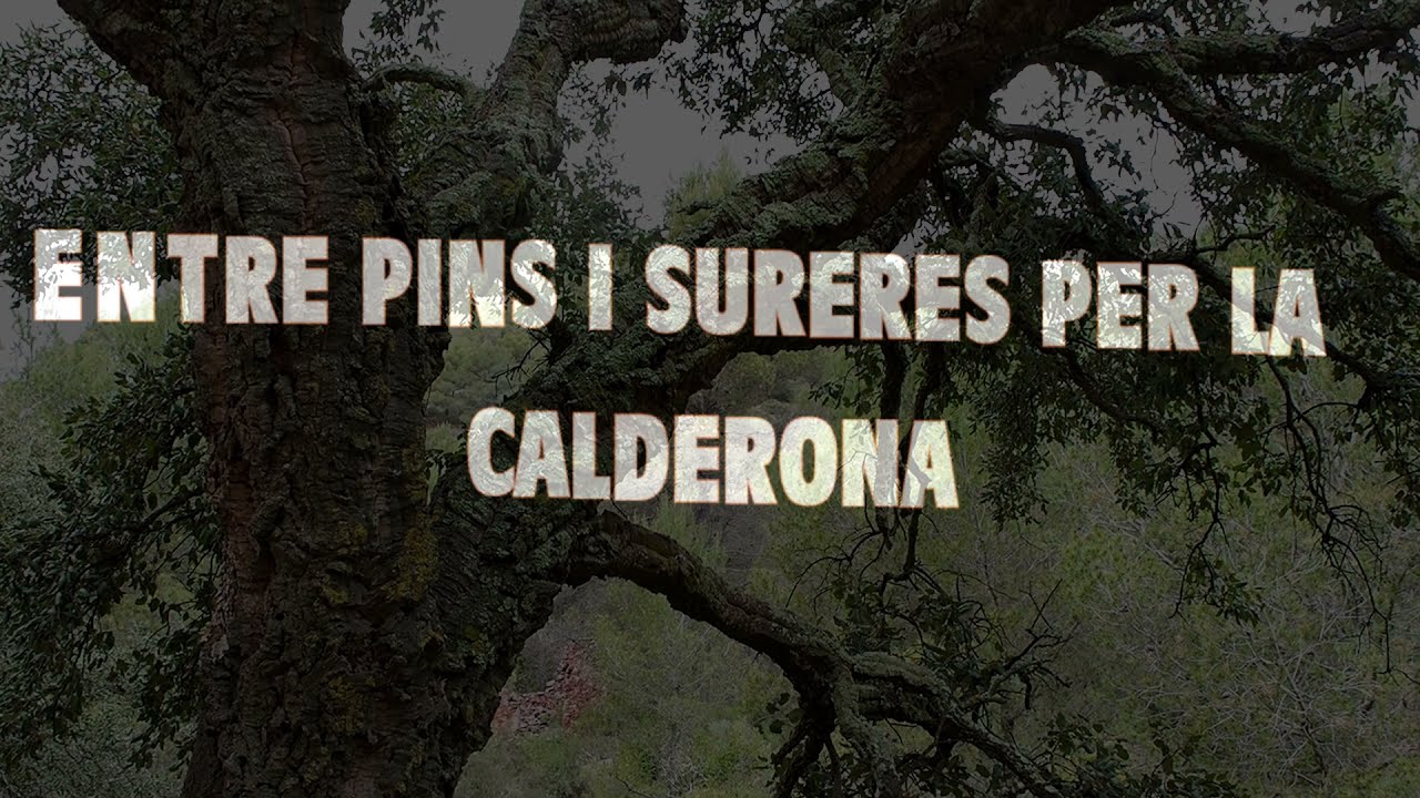ENTRE PINS I SURERES PER LA CALDERONA