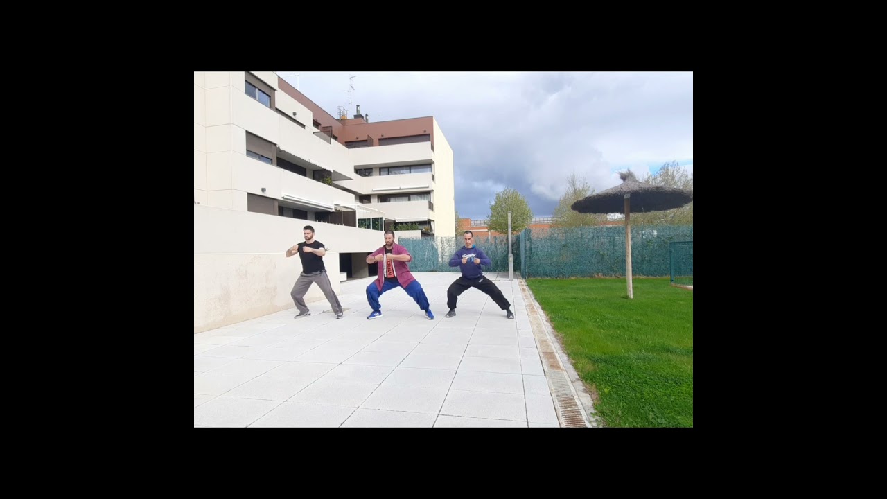 Tai Chi Day 2021 (Día Mundial del Tai Chi). Naxo de la Encina
