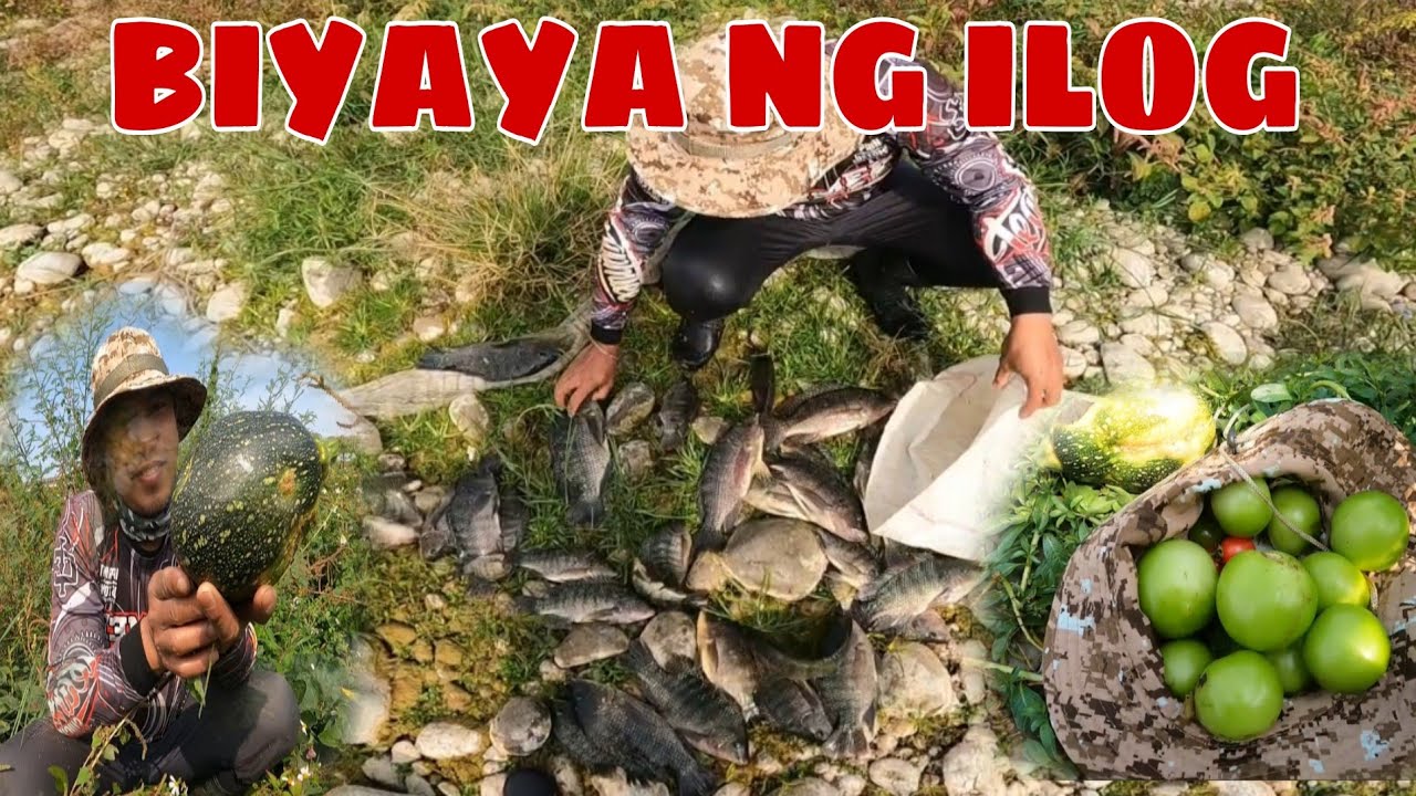 Tiba tiba SA isda,ligaw na gulay at kamatis