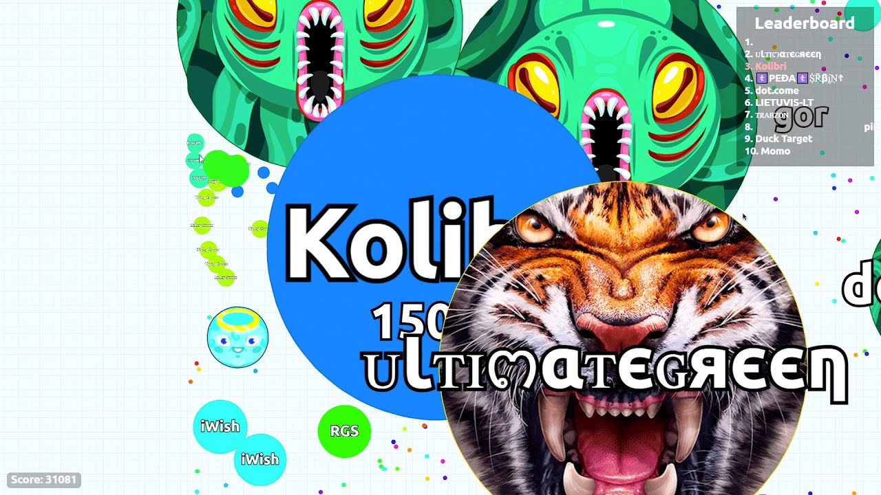 Solo Pro vs Silly Noobs! Epic Agar.io Gameplay
